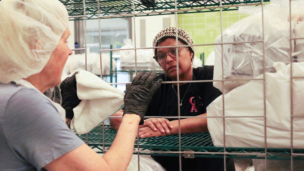 People putting together meals look at each other through a shelf