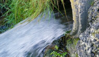 Major dairy processor fined for illegal effluent discharge into Blackwater river tributary – The Irish Times
