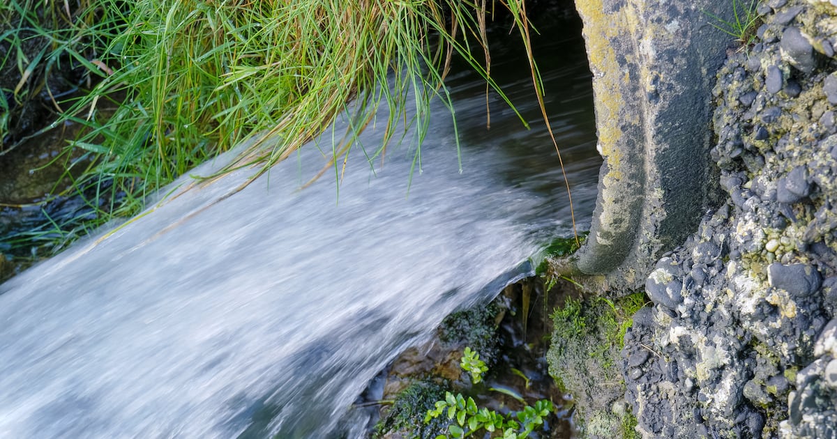 Major dairy processor fined for illegal effluent discharge into Blackwater river tributary – The Irish Times