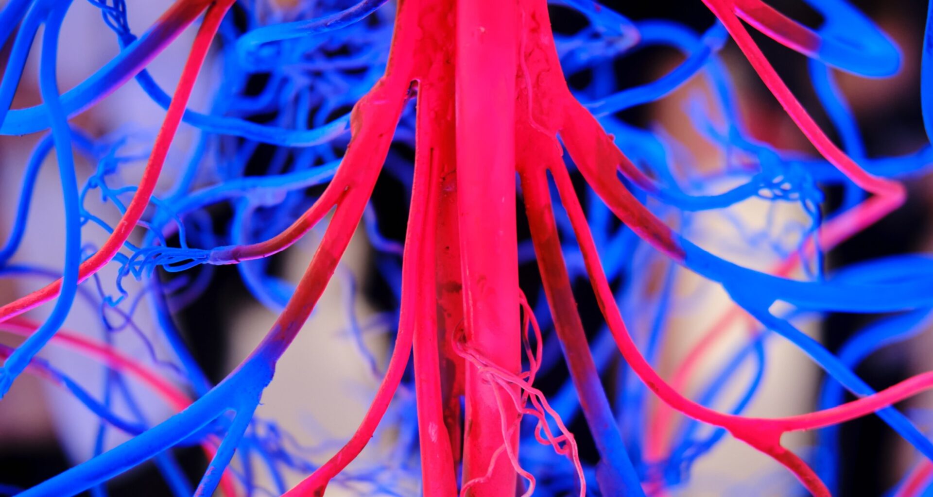 New blood test may predict heart disease better than cholesterol