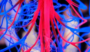 New blood test may predict heart disease better than cholesterol