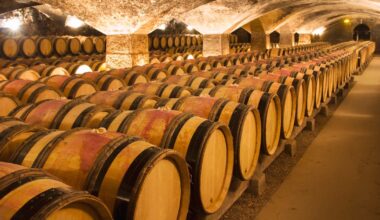 Struggling French vineyards turn excess wine into ethanol – The Irish Times