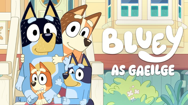 A poster for Bluey As Gaeilge. Photograph: RTÉ