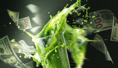 Superfood and greens powders have become a multibillion-dollar staple of the modern wellness routine.