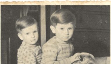 A brother, aged seven – The Irish Times