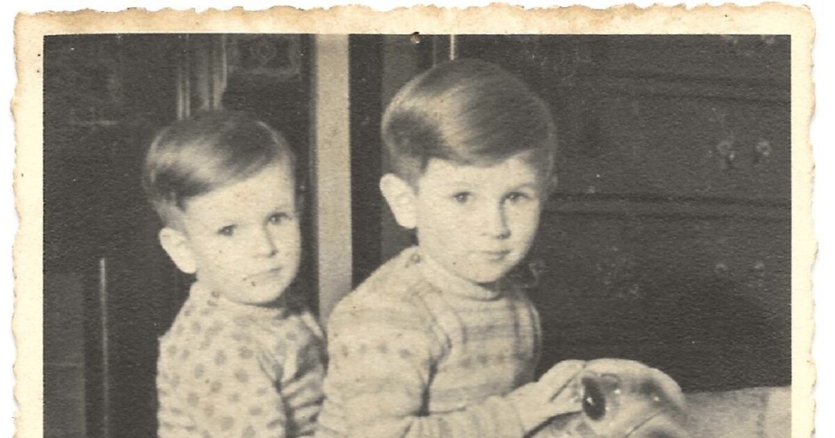A brother, aged seven – The Irish Times