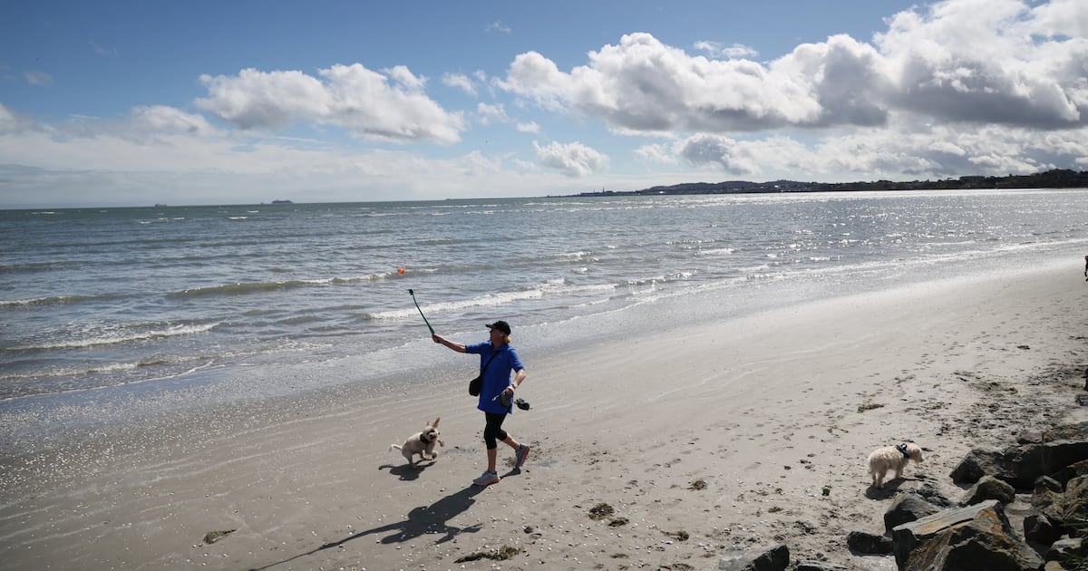 Temperatures due to hit 20 degrees on Friday as Met Éireann forecasts ‘thundery’ showers – The Irish Times