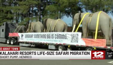 Life-size elephant sculptures appear at Short Pump Town Center