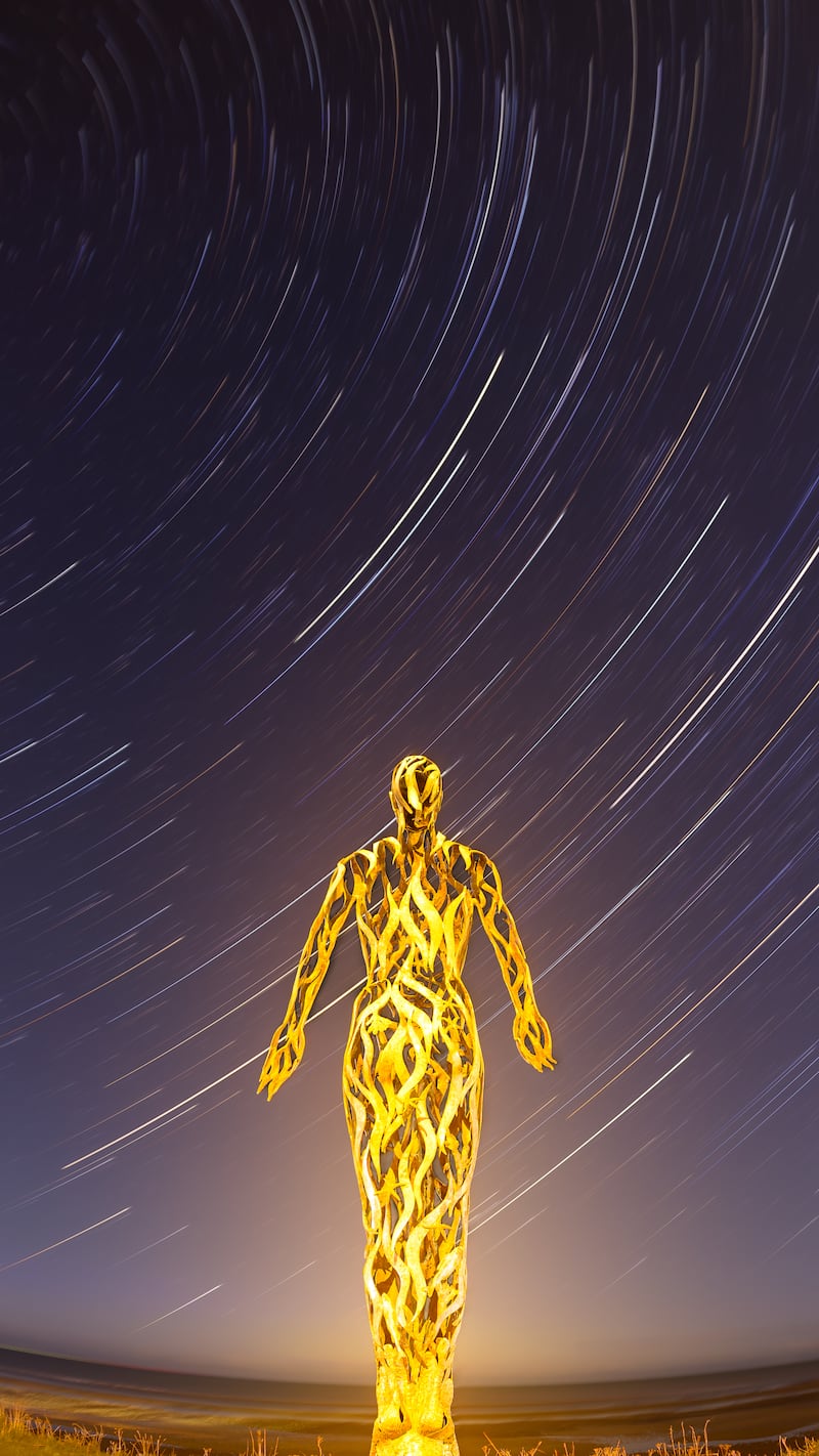 The Voyager, by Liam Reddall, was the winner of the Back on Earth Landmark prize