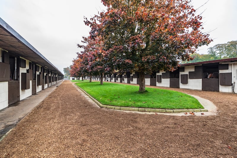 Stables and yard