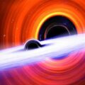 Primordial Black Hole
