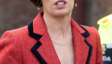 Minister for Education seeks several hundred million in extra funds and budget ‘reset’ – The Irish Times