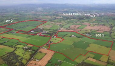 Magniers confirmed as investors in €21m Rockwell Farm purchase in Co Tipperary – The Irish Times