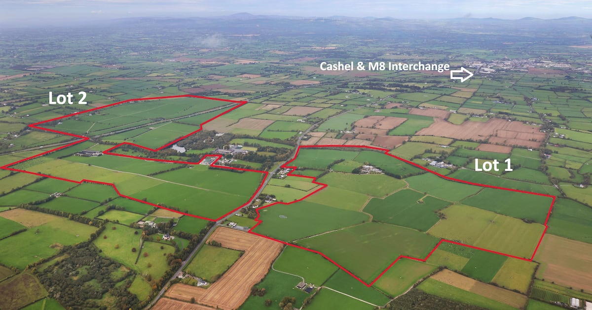 Magniers confirmed as investors in €21m Rockwell Farm purchase in Co Tipperary – The Irish Times