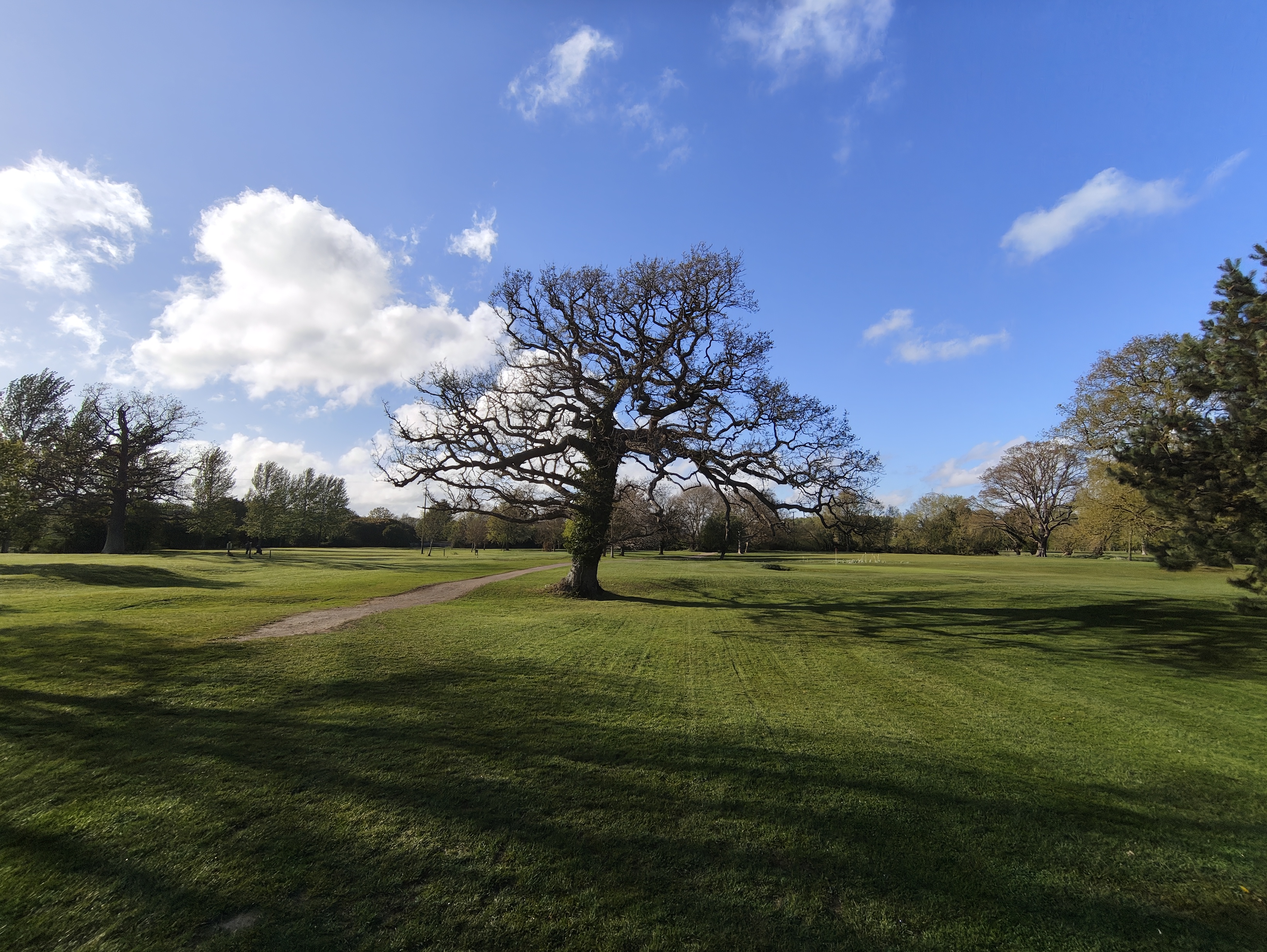 samsung galaxy a57 vs nothing phjone 4a pro