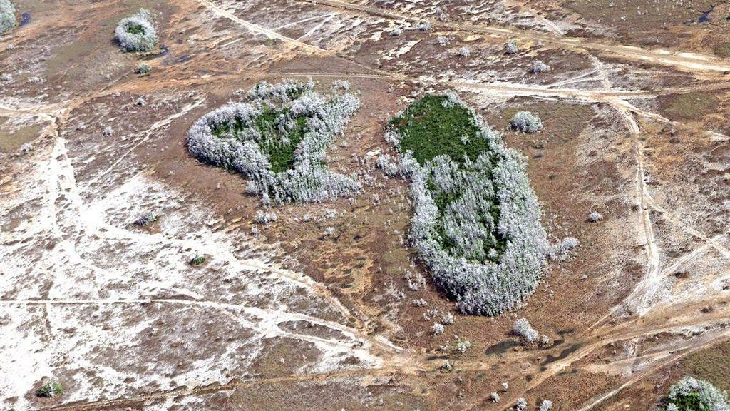Aerial images of the parched Everglades in March 2026.