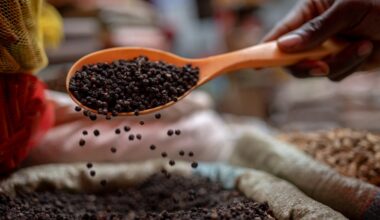 Spices in Tanzania.