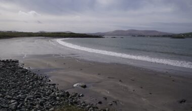 File sent to DPP following ‘extensive investigation’ – The Irish Times