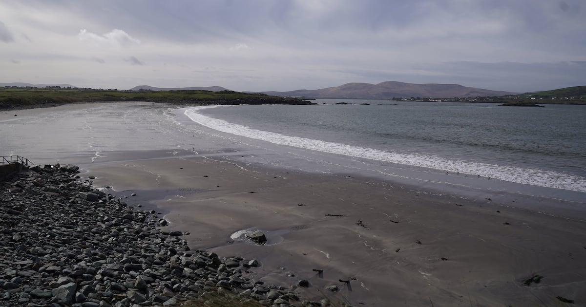 File sent to DPP following ‘extensive investigation’ – The Irish Times