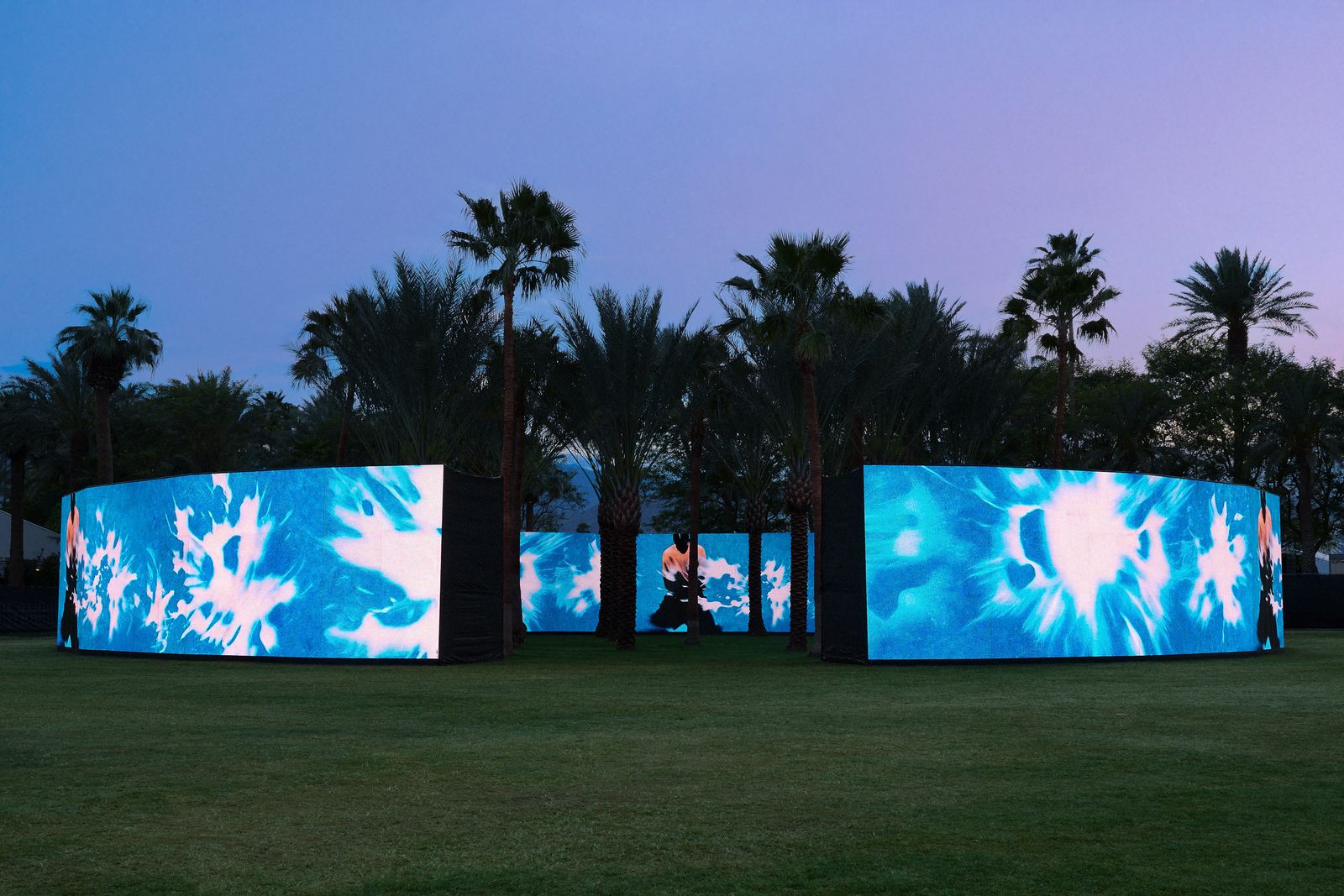 Image may contain Grass Plant Lawn Tree Potted Plant Vegetation Palm Tree Grove Land Nature Outdoors and Woodland