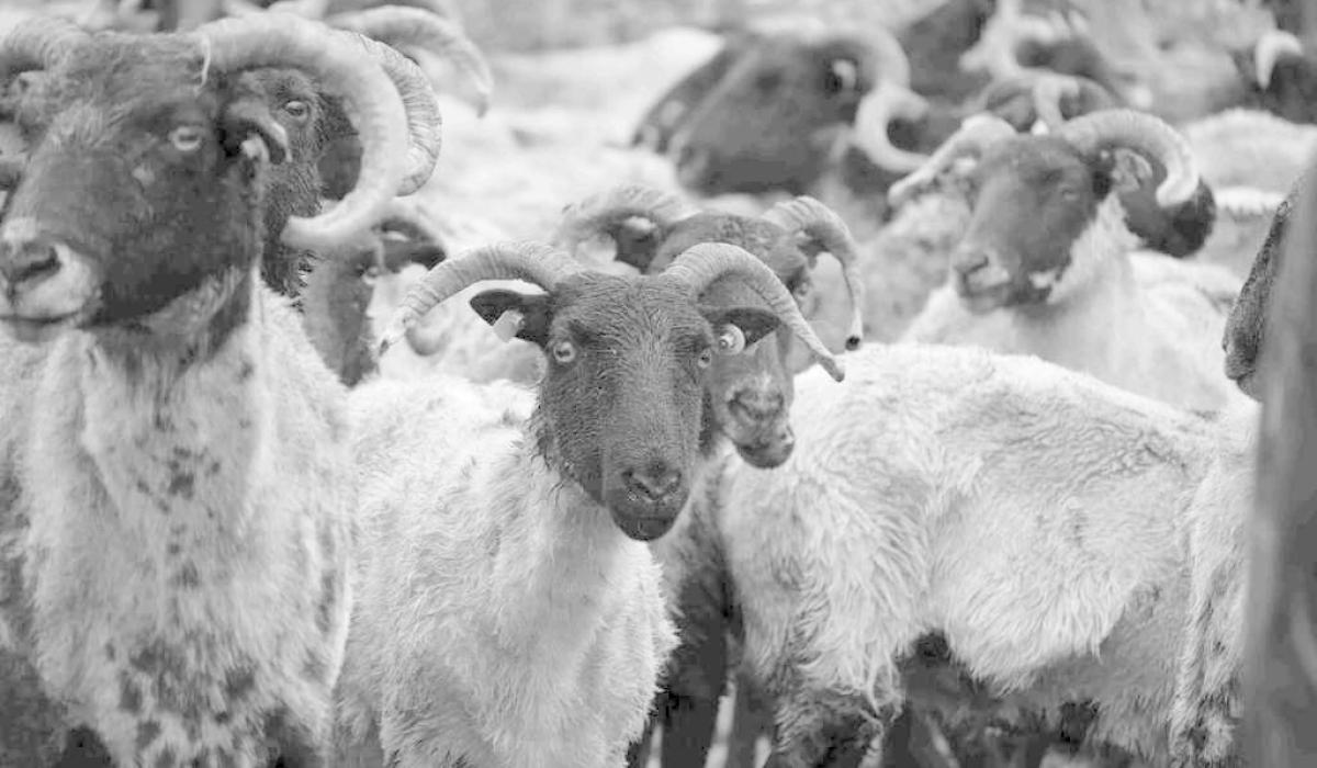PICTURES: Stunning photography exhibition coming to Leitrim town - Page 1 of 7