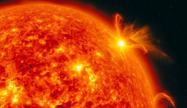 Scientists Just Uncovered What Keeps Massive Solar Prominences Floating Above The Sun