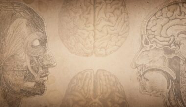 The Lost Art of Medicine: What Maimonides Knew That We Forgot