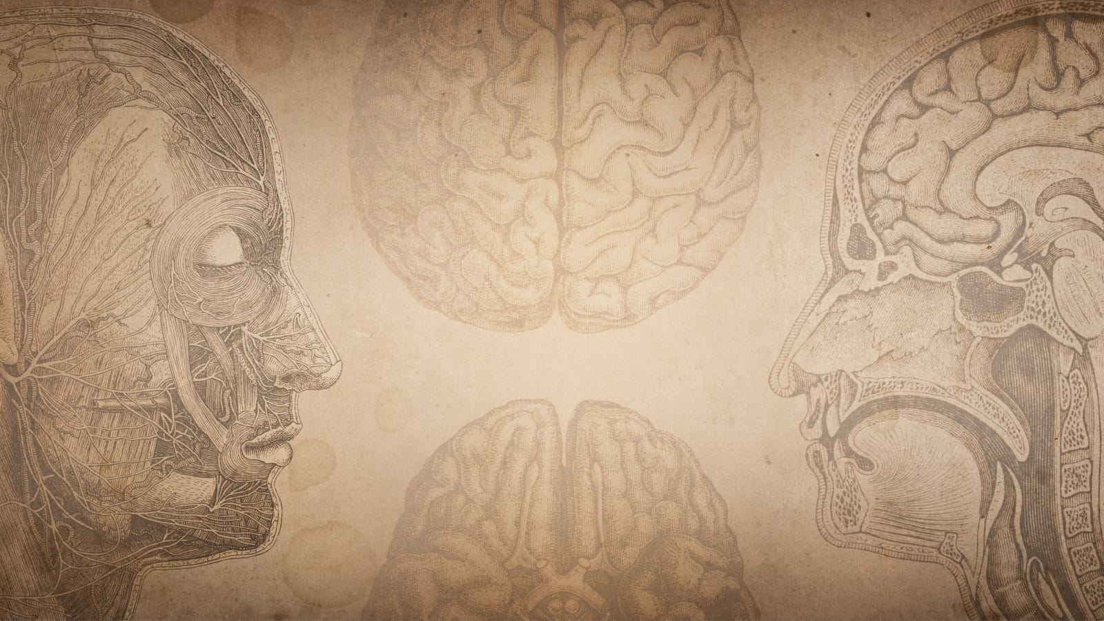 The Lost Art of Medicine: What Maimonides Knew That We Forgot