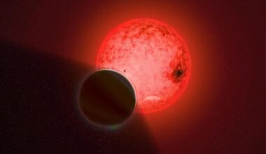 This artist's illustration shows the gas giant TOI-5205 b orbiting its M-dwarf (red dwarf) star. Astronomers expect to find massive gas giants around more massive stars than this, so this arrangement is a puzzle. It's not the only gas giant around a low-mass star, and collectively, they challenge astronomers' understanding of planet formation. Image Credit: Katherine Cain, Carnegie Science.