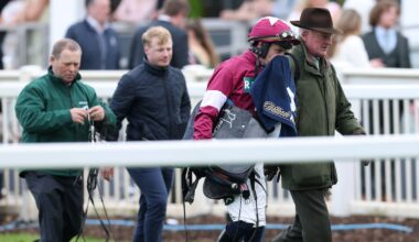 Gold Dancer euthanised due to broken back following Grade One victory at Aintree – The Irish Times