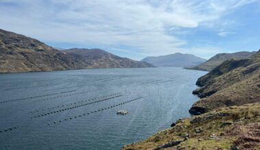Offaly columnist reflects on the wild and unspoilt beauty of Connemara