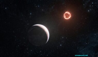 The CARMENES Search For Exoplanets Around M Dwarfs. A Homogeneous Catalogue Of Projected Rotational Velocities Accounting For Limb-darkening