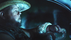 'The Python Hunt'