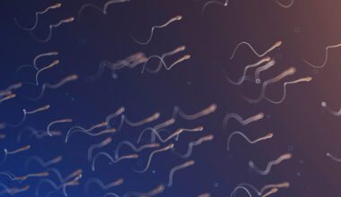 The Strangely Specific Time Your Sperm Quality Peaks