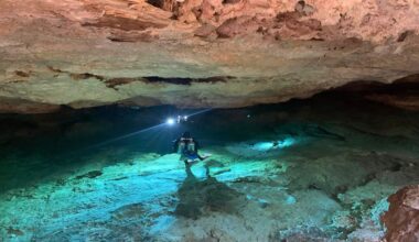 The cenotes where Typhlatya shrimps occur