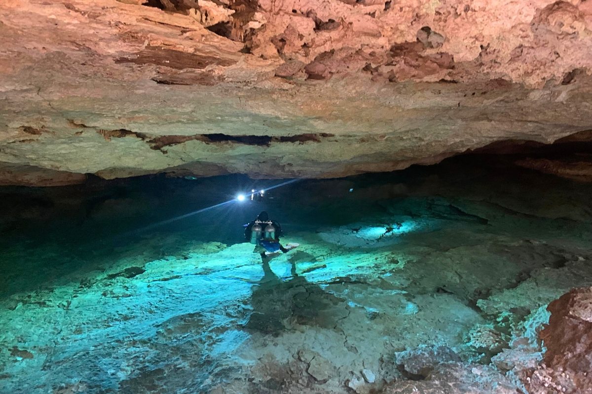 The cenotes where Typhlatya shrimps occur