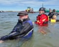 Timmy the stranded humpback whale swims into transport barge
