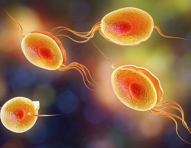 Advances in nanomedicine improve anthelmintic drug delivery and effectiveness