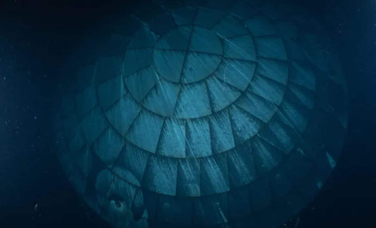 U.s. Navy Divers Reveal Rare Underwater Photo Of Artemis’ Heat Shield, It Still In Perfect Condition