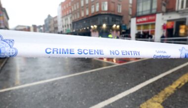 Man remanded in custody accused of stabbing twin teenage sisters and passerby in Dublin – The Irish Times