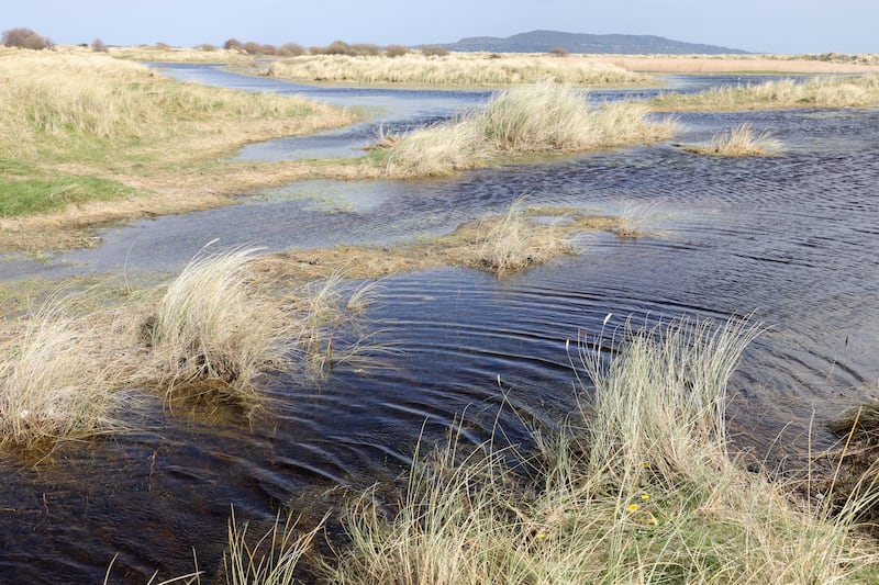 North Bull Island, in Dublin Bay, significantly restricts wave impact on the shore behind. Photograph: Dara Mac Dónaill