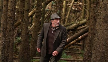 ‘Liam Neeson wanted a go at being a film star. I didn’t have that in my DNA’ – The Irish Times