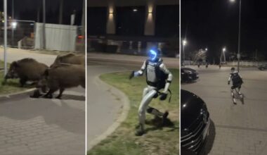 Could robots solve Europe’s growing wild boar problem? Warsaw experiment goes viral « Euro Weekly News