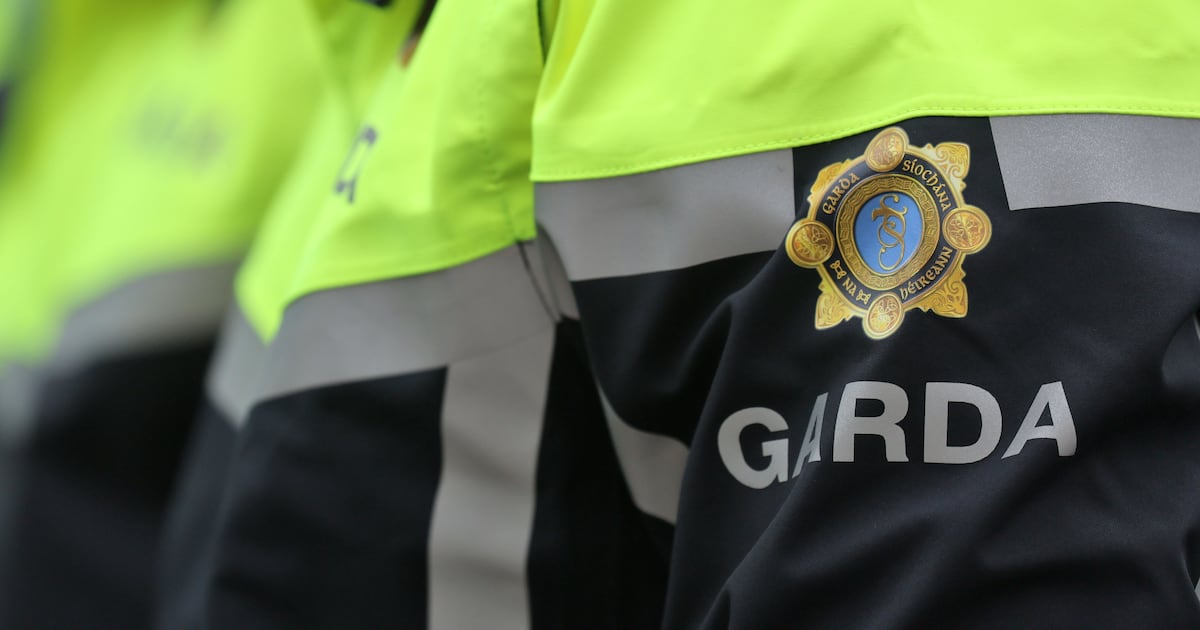Trainee gardaí challenge their dismissals for handcuffing incident at Templemore college – The Irish Times
