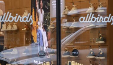 Failed shoe company’s pivot to AI is for the birds – The Irish Times