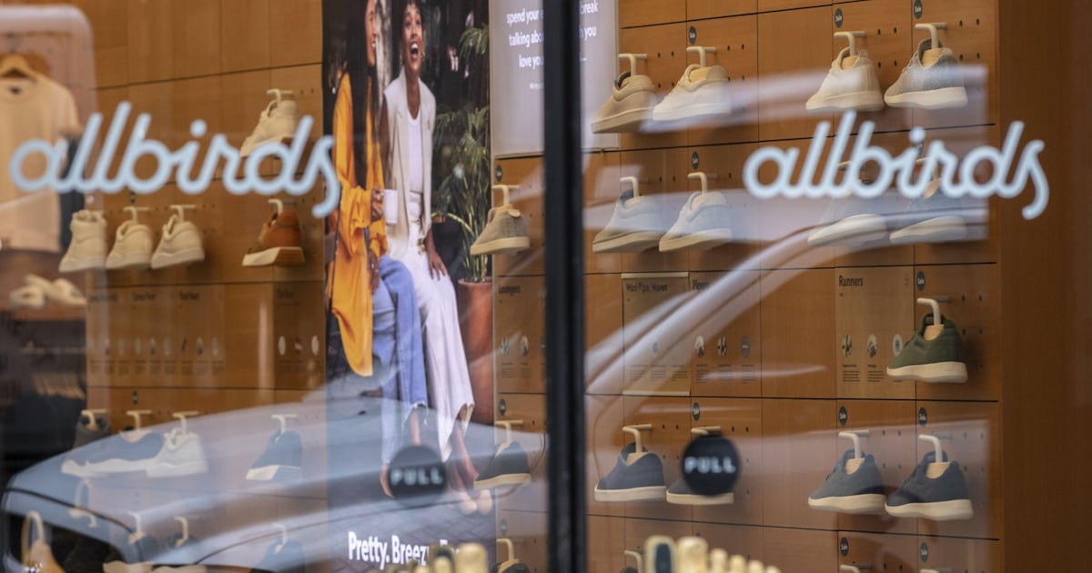 Failed shoe company’s pivot to AI is for the birds – The Irish Times