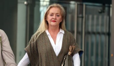 Woman who Tasered security man during home repossession given one-year suspended sentence – The Irish Times