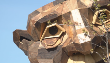 Giant wooden troll sculptures take shape in Clinton