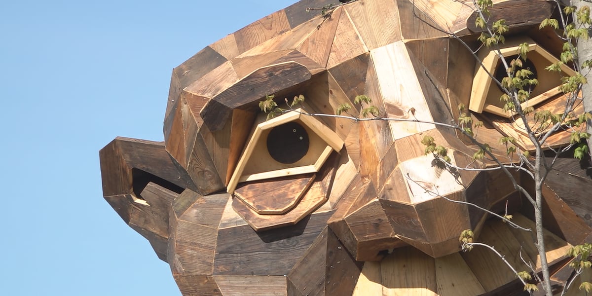 Giant wooden troll sculptures take shape in Clinton