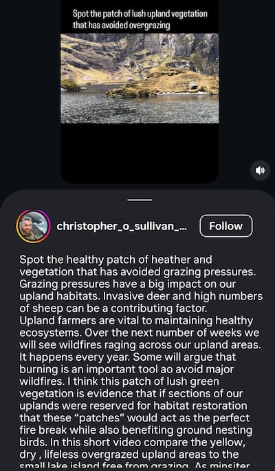 Minister for Nature Christopher O'Sullivan drew attention to the issue of over-grazed upland habitats in an Instagram post earlier this year